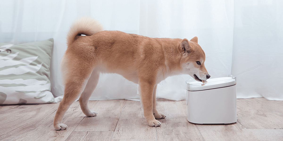 Xiaomi Smart Pet Fountain - Gwarantowana jakość z każdym haustem
