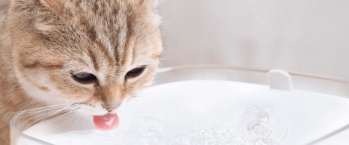 Xiaomi Smart Pet Fountain - Czysta, cyrkulująca woda to naturalny wybór dla zwierząt domowych