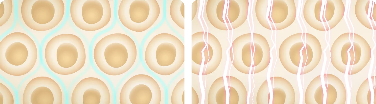 Xiaomi Body Composition Scale S400