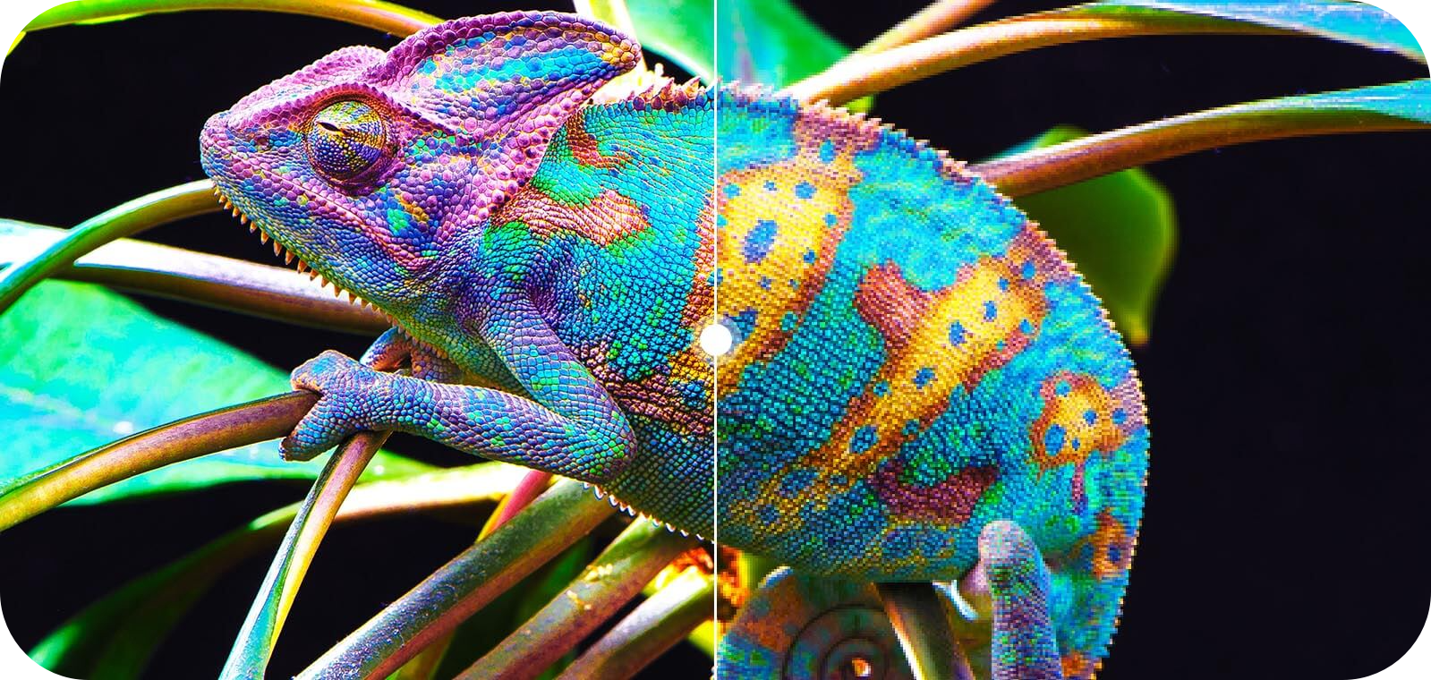 Rozdzielczość 4K Ultra HD