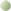 Aurora Green